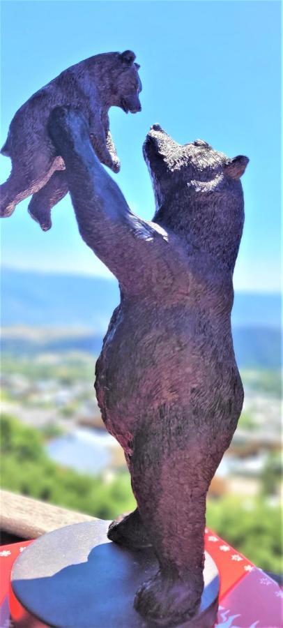 Les Balcons Du Soleil L Ourson Appartement Font-Romeu-Odeillo-Via Buitenkant foto